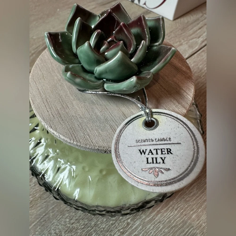Green Succulent Candle by - Picture 3 of 5